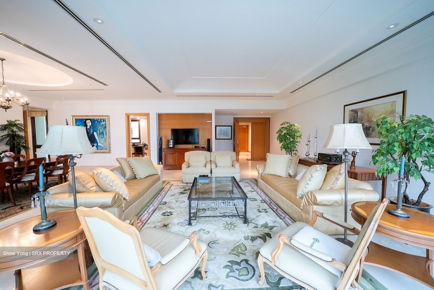 Ardmore Park (D10), Condominium #551357431